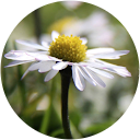 Annelize S. profile picture